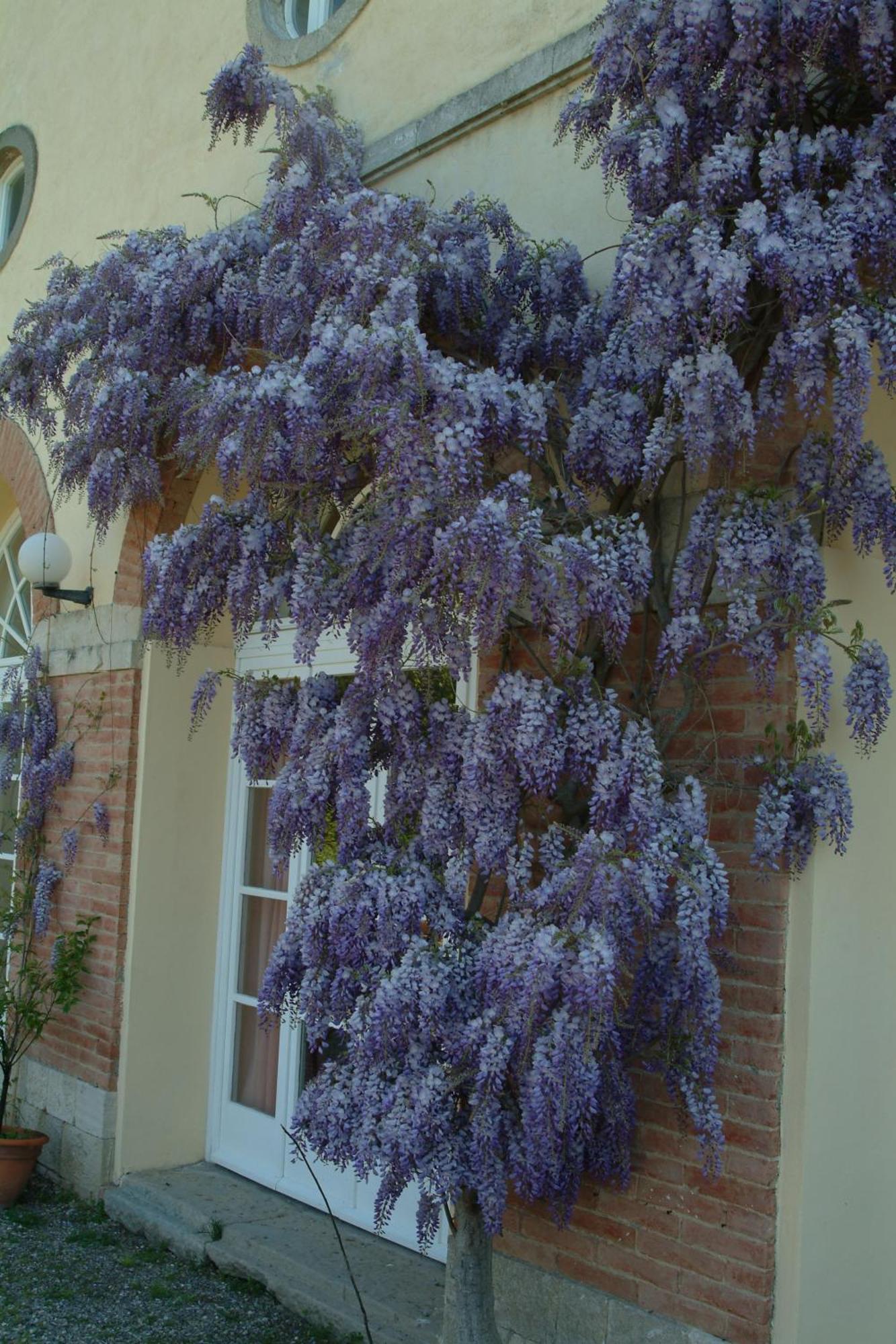 Villa Palagione Centro Interculturale Volterra Eksteriør billede